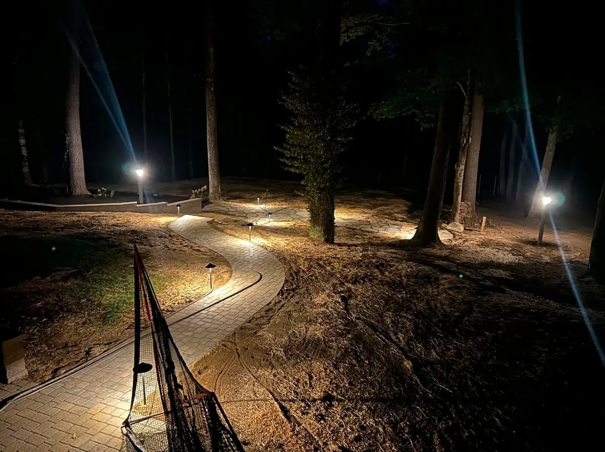 A wooded driveway at night lit along its length by low landscape lights.